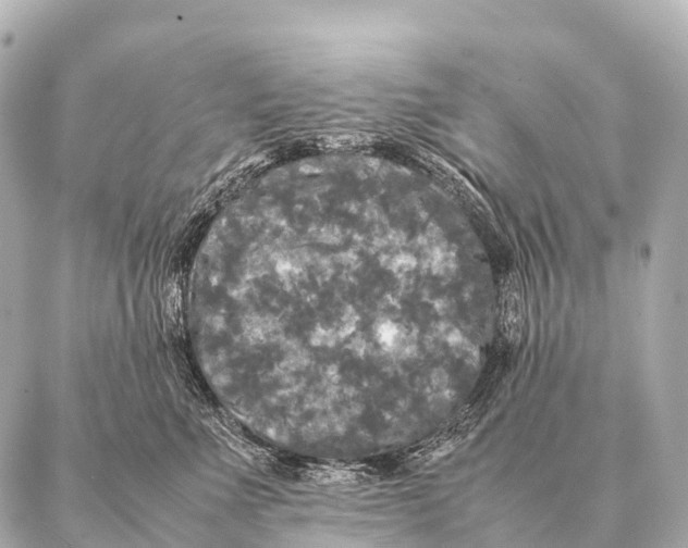 X0000087020523200705141859