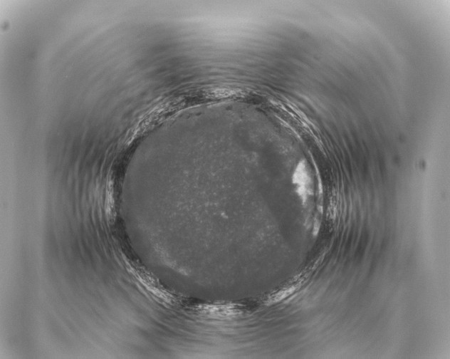 X0000087020524200705141859