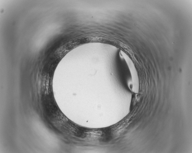 X0000087020525200705141859