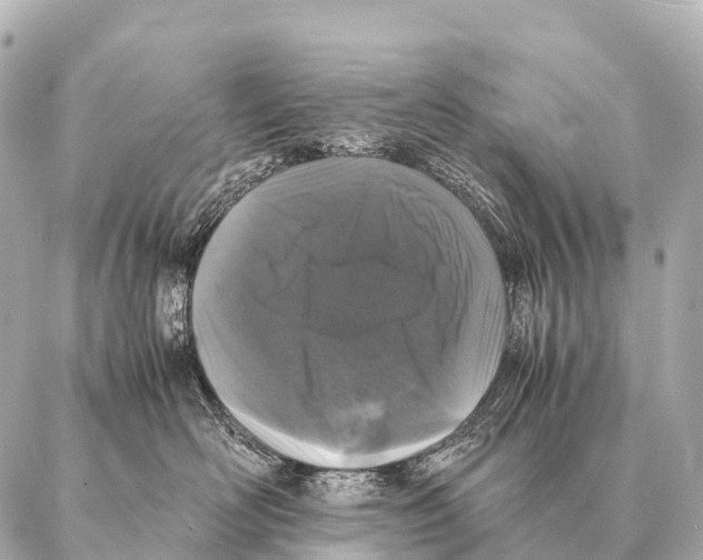 X0000087020526200705141859