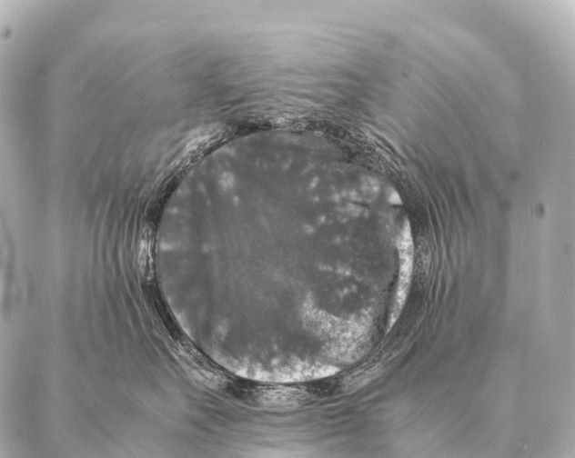 X0000087020527200705141859