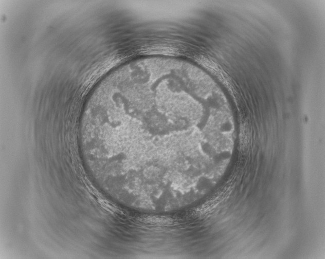 X0000087020529200705141859