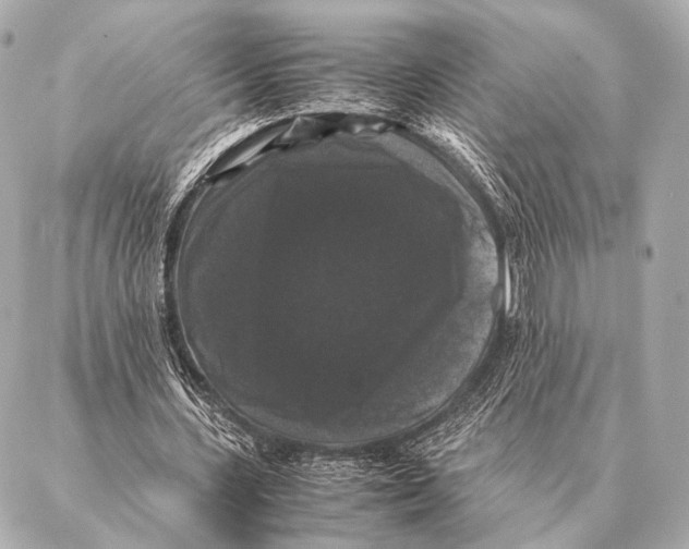 X0000087020531200705141859