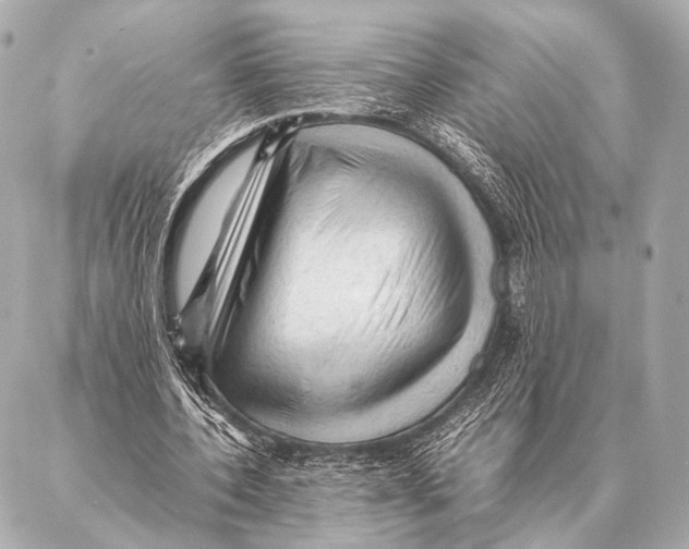 X0000087020532200705141859