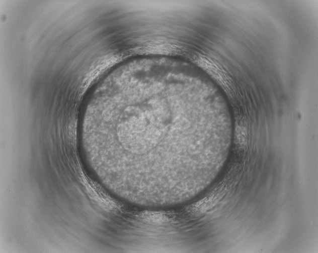 X0000087020534200705141859