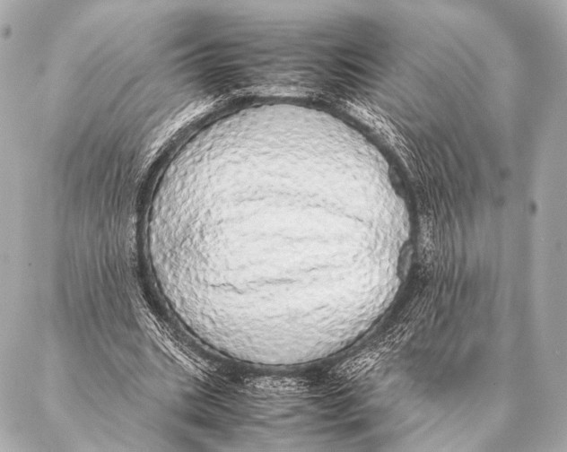 X0000087020535200705141859