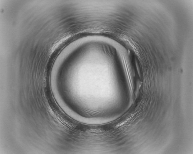 X0000087020536200705141859