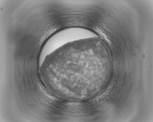 X0000087020537200705141859