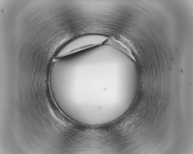 X0000087020538200705141859