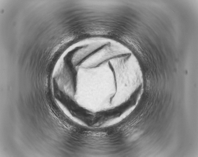 X0000087020539200705141859