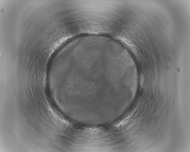 X0000087020540200705141859