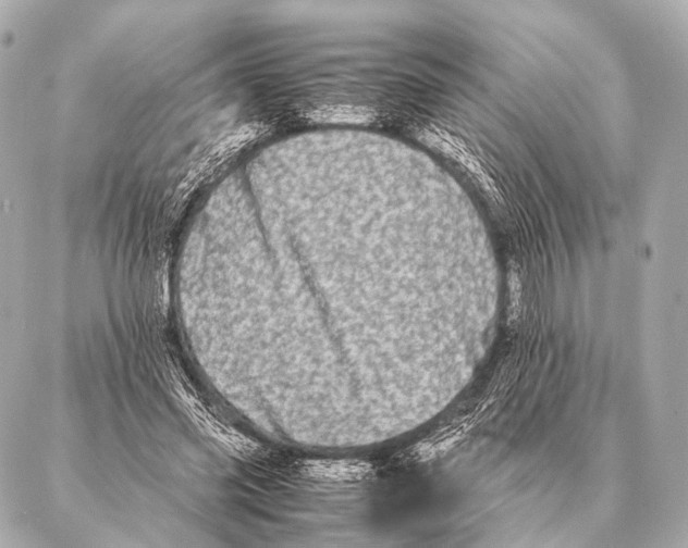 X0000087020541200705141859