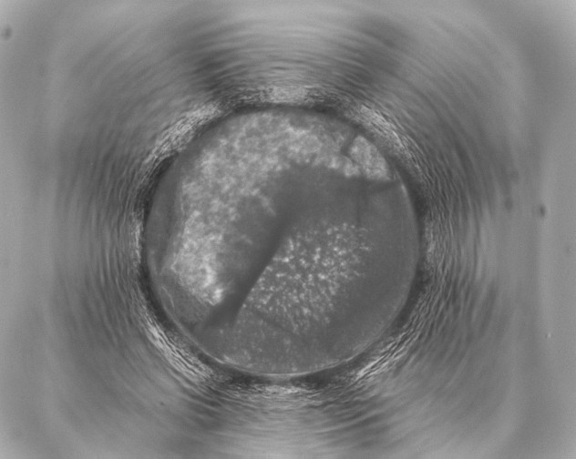 X0000087020542200705141859