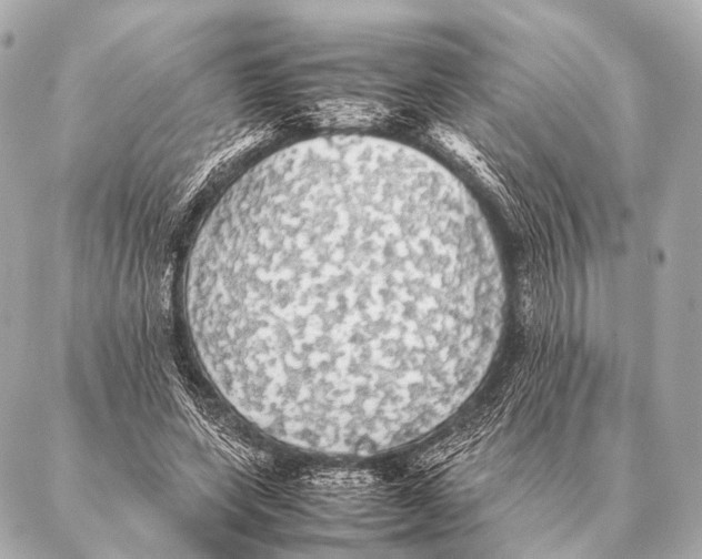 X0000087020543200705141859