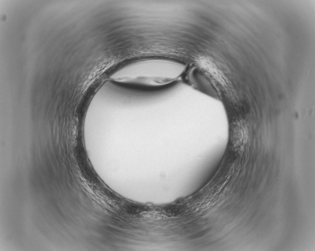 X0000087020544200705141859