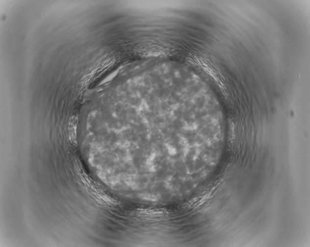 X0000087020545200705141859