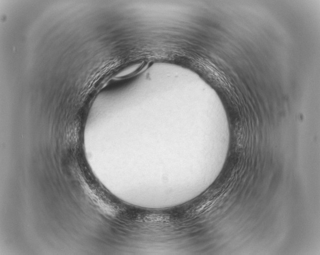 X0000087020546200705141859