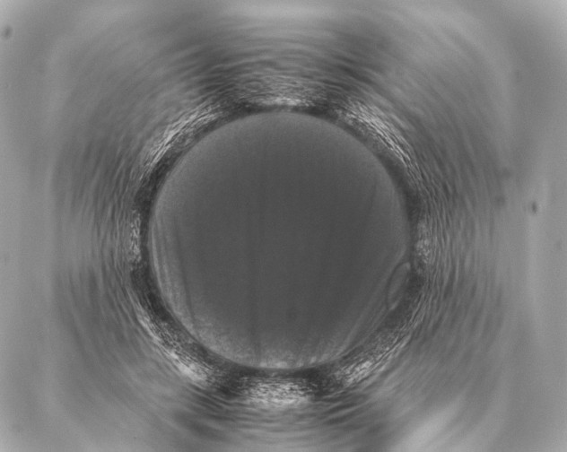 X0000087020547200705141859