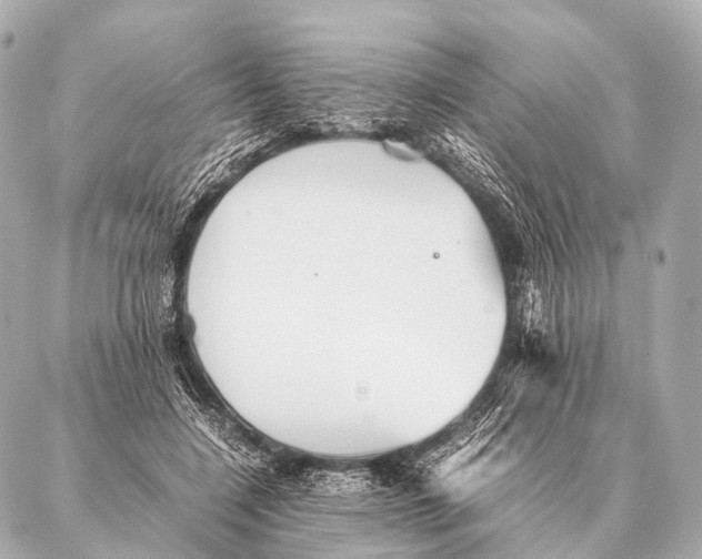 X0000087020548200705141859