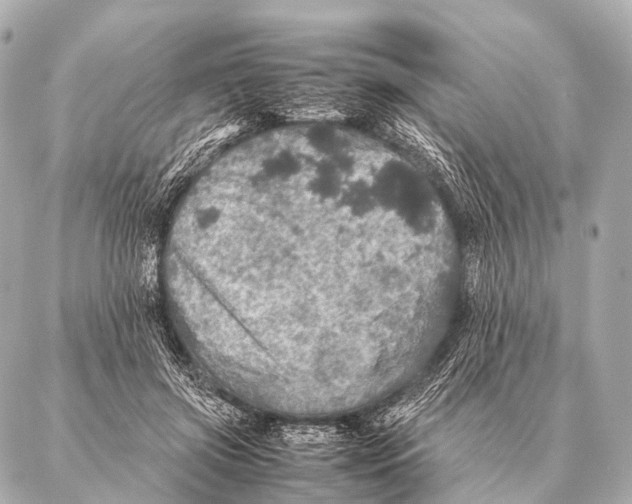 X0000087020549200705141859