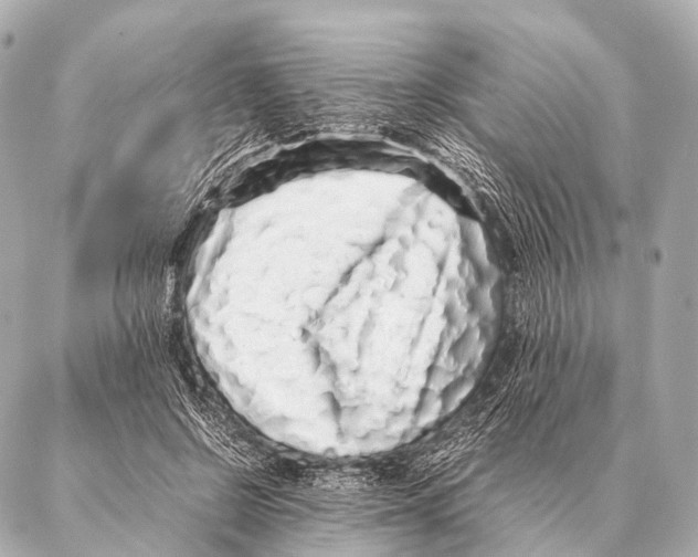 X0000087020550200705141859