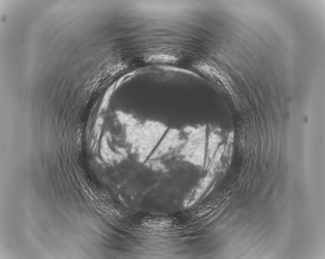 X0000087020551200705141859