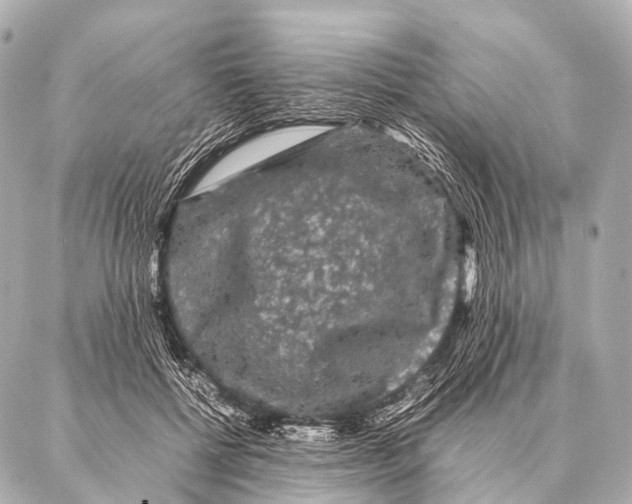 X0000087020552200705141859