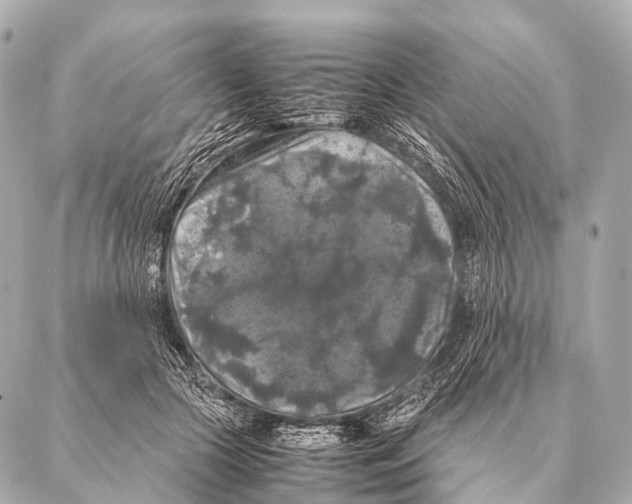 X0000087020553200705141859