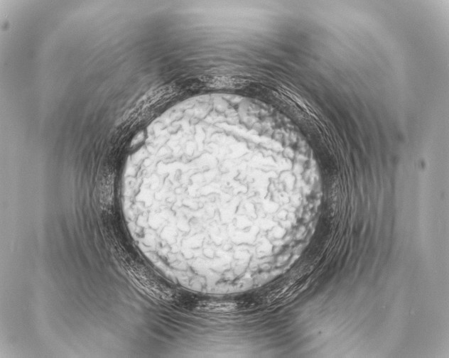 X0000087020554200705141859