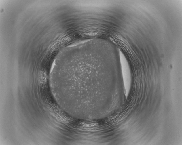 X0000087020555200705141859