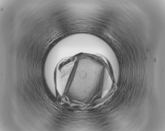 X0000087020556200705141859