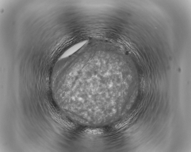 X0000087020557200705141859