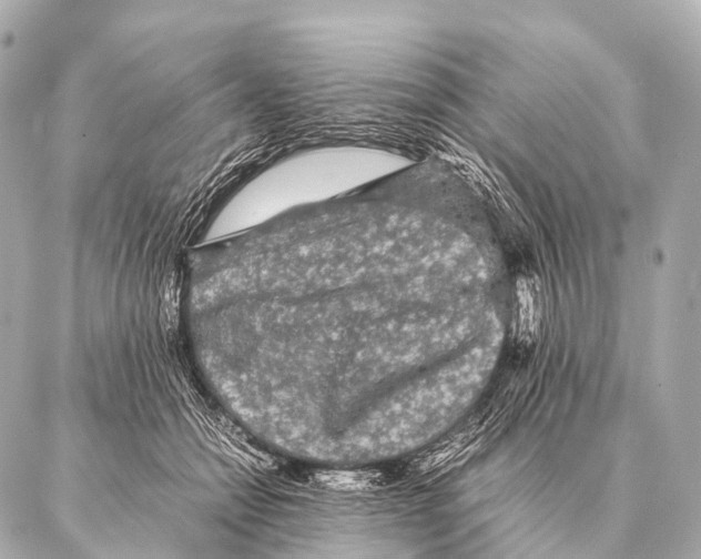 X0000087020558200705141859