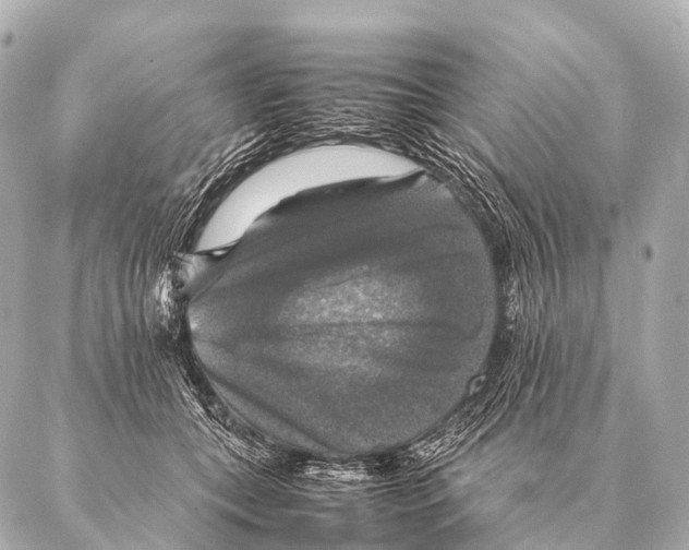 X0000087020559200705141859