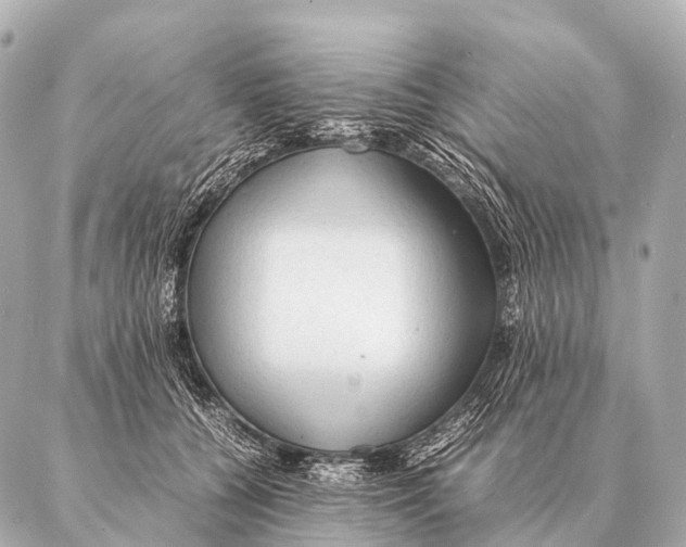 X0000087020560200705141859