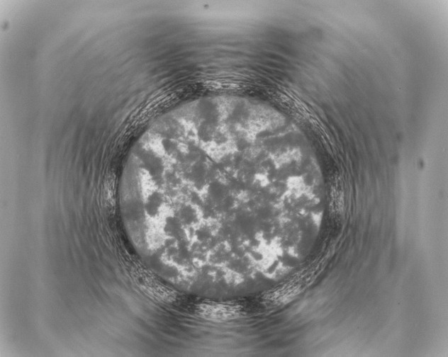 X0000087020561200705141859