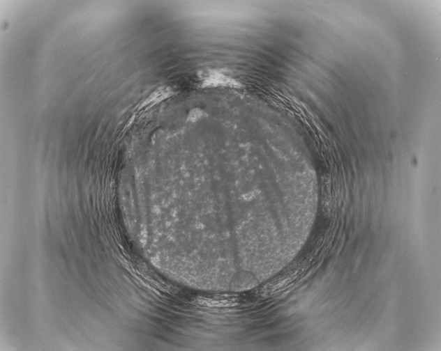 X0000087020563200705141859