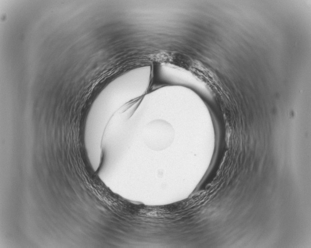 X0000087020564200705141859