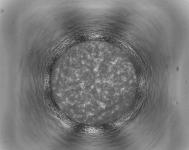 X0000087020565200705141859