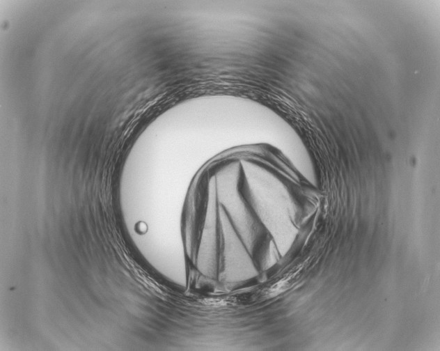 X0000087020566200705141859