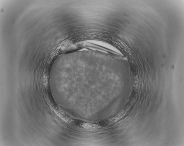 X0000087020568200705141859