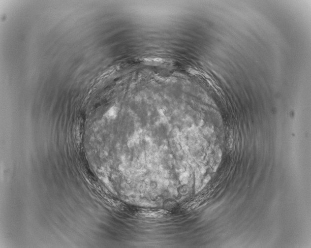 X0000087020569200705141859