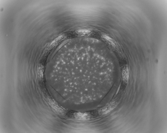 X0000087020570200705141859