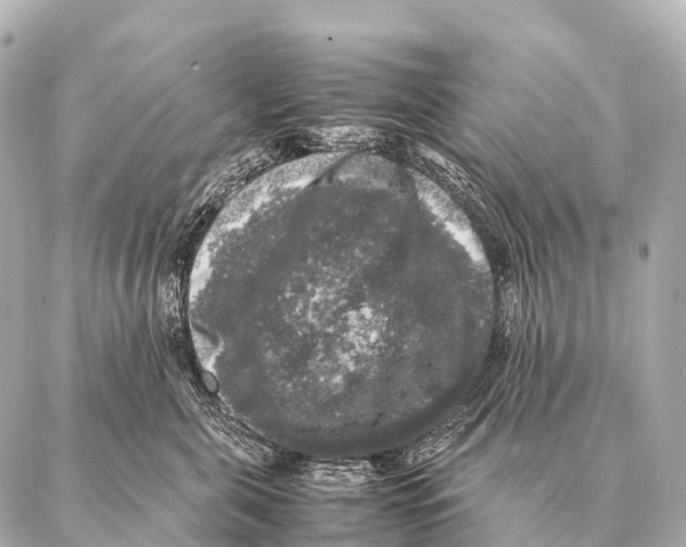 X0000087020571200705141859