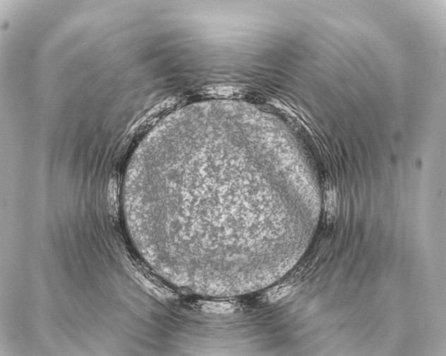 X0000087020572200705141859