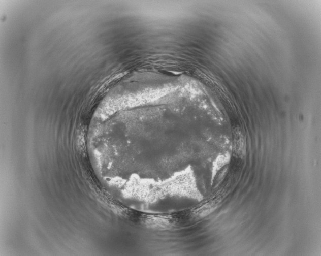 X0000087020573200705141859