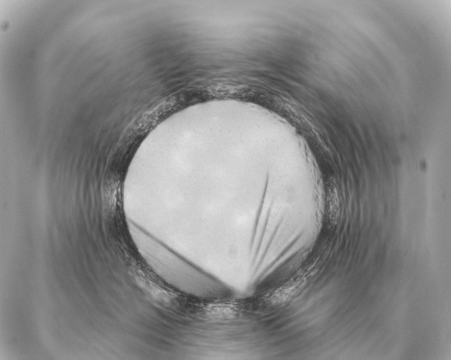 X0000087020574200705141859