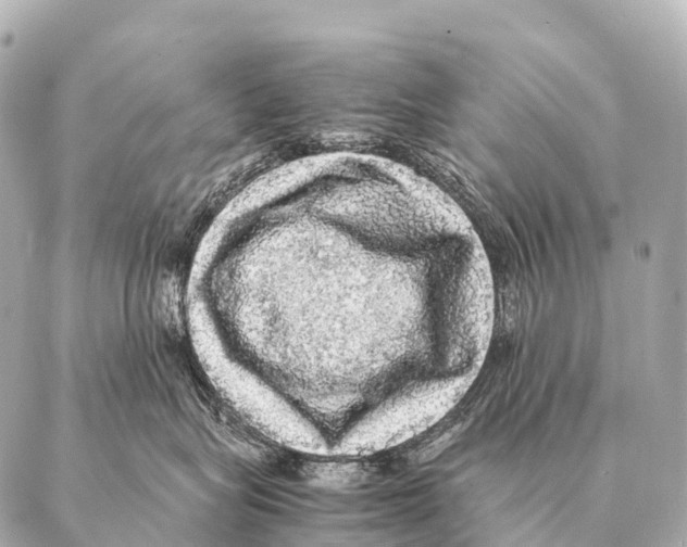 X0000087020575200705141859