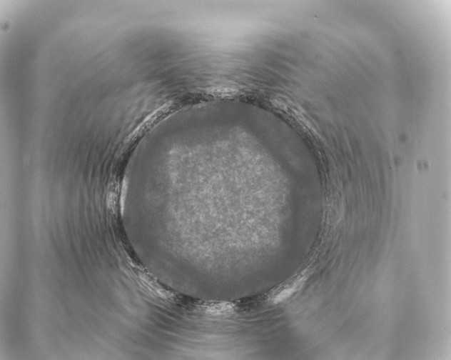 X0000087020576200705141859