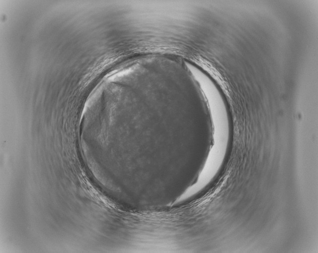 X0000087020577200705141859